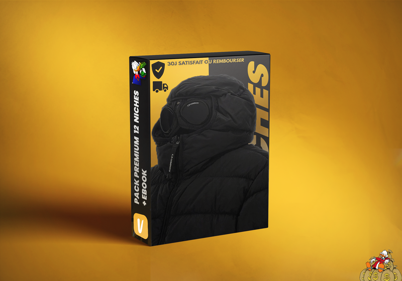 🚀 Formation Resell vinted v2